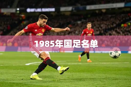 1985年国足名单
