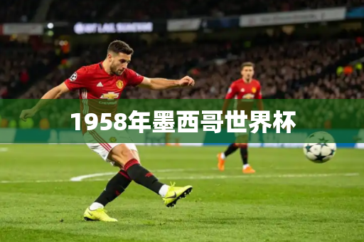 1958年墨西哥世界杯 1958年墨西哥世界杯
