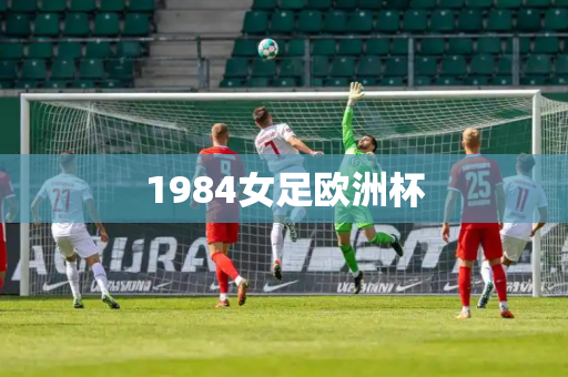 1984女足欧洲杯 1984女足欧洲杯
