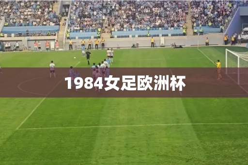 1984女足欧洲杯 1984女足欧洲杯