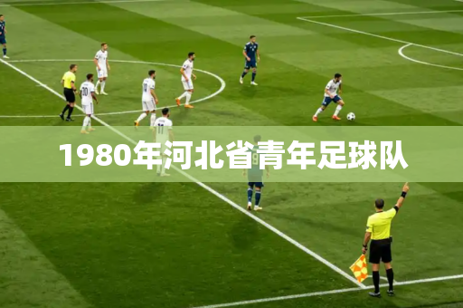 1980年河北省青年足球队