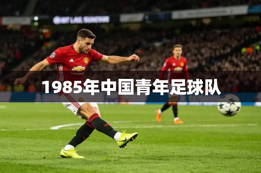 1985年中国青年足球队