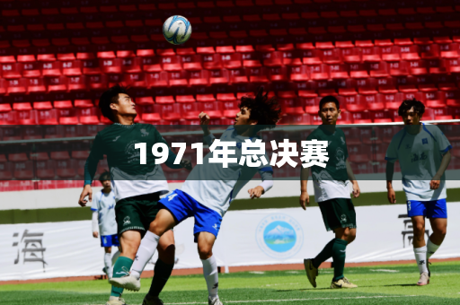1971年总决赛 1971年总决赛
