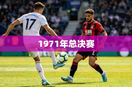 1971年总决赛 1971年总决赛
