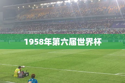 1958年第六届世界杯
