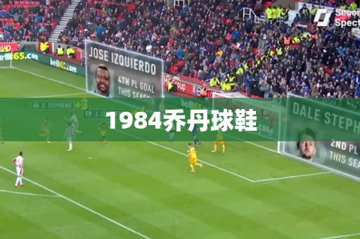 1984乔丹球鞋