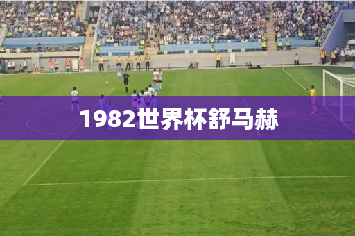 1982世界杯舒马赫 1982世界杯舒马赫