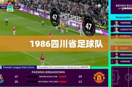 1986四川省足球队