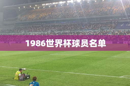 1986世界杯球员名单