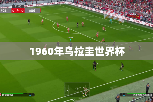 1960年乌拉圭世界杯