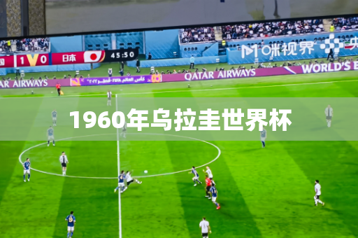 1960年乌拉圭世界杯