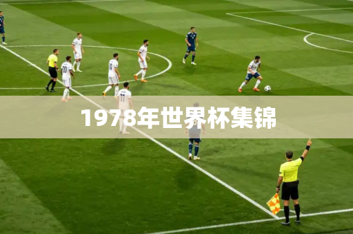1978年世界杯集锦 1978年世界杯集锦