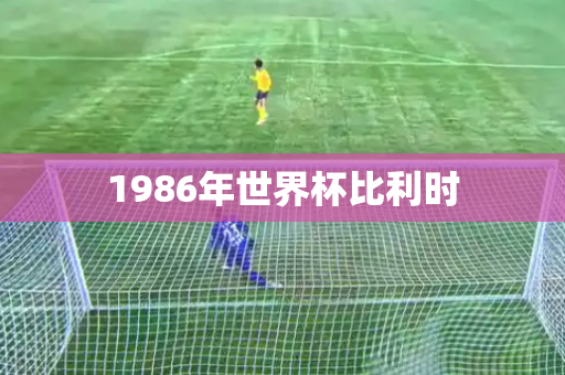 1986年世界杯比利时 1986年世界杯比利时