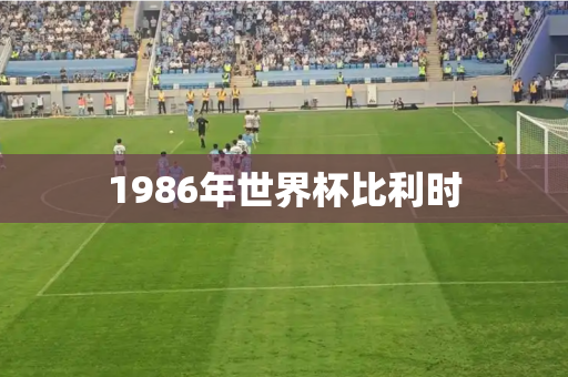 1986年世界杯比利时 1986年世界杯比利时