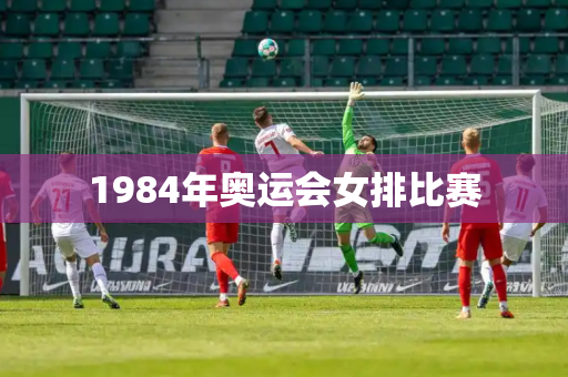 1984年奥运会女排比赛