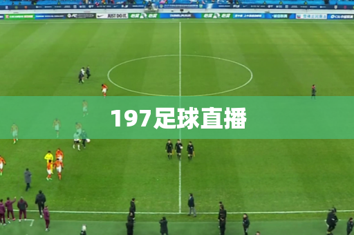 197足球直播 197足球直播