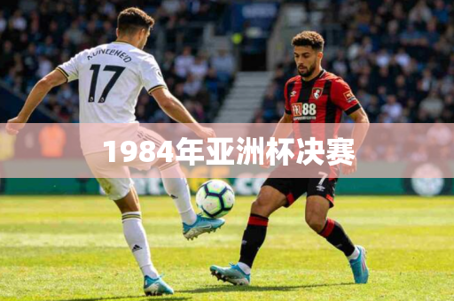 1984年亚洲杯决赛 1984年亚洲杯决赛