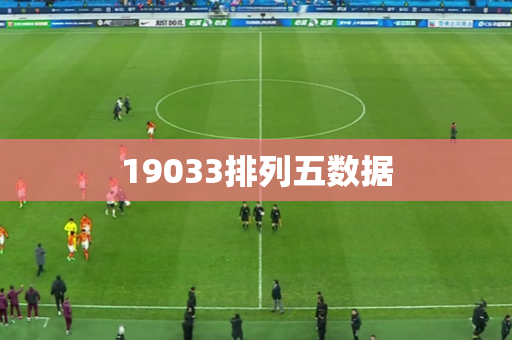 19033排列五数据