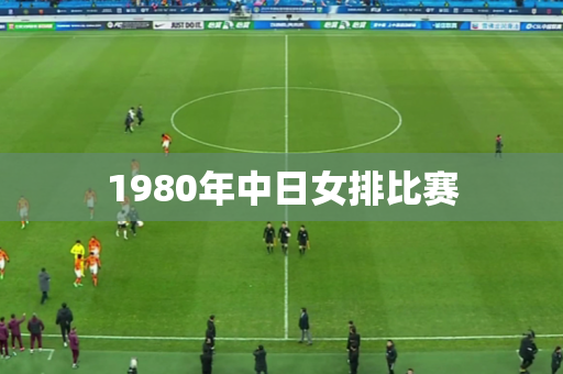 1980年中日女排比赛
