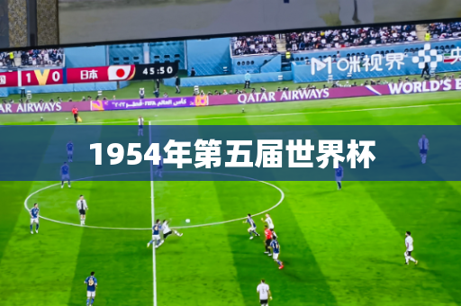 1954年第五届世界杯 1954年第五届世界杯