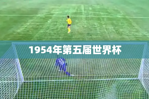 1954年第五届世界杯