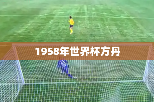 1958年世界杯方丹 1958年世界杯方丹