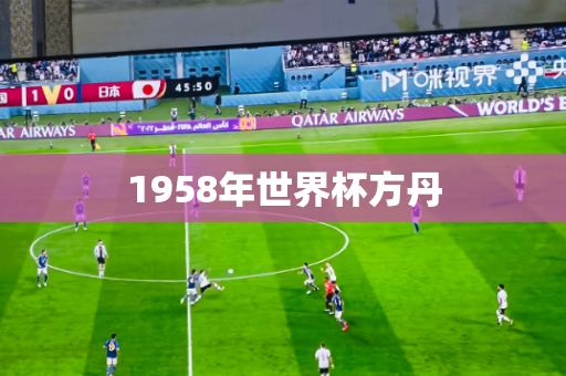 1958年世界杯方丹 1958年世界杯方丹