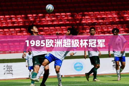 1985欧洲超级杯冠军 1985欧洲超级杯冠军