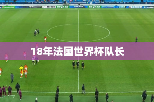 18年法国世界杯队长