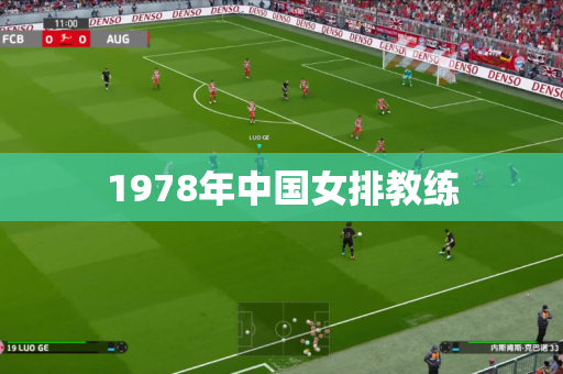 1978年中国女排教练 1978年中国女排教练