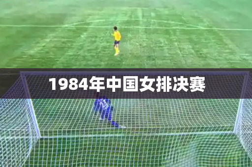 1984年中国女排决赛 1984年中国女排决赛