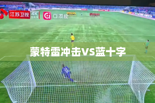 蒙特雷冲击VS蓝十字 蒙特雷冲击VS蓝十字