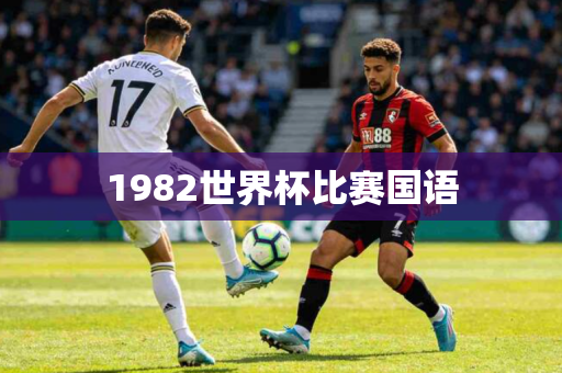 1982世界杯比赛国语 1982世界杯比赛国语