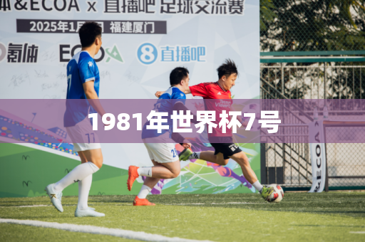 1981年世界杯7号 1981年世界杯7号