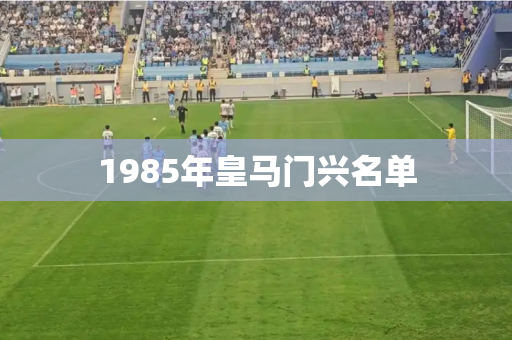 1985年皇马门兴名单