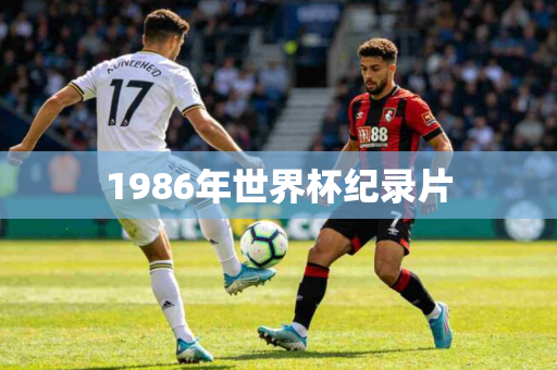 1986年世界杯纪录片 1986年世界杯纪录片