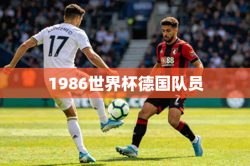1986世界杯德国队员