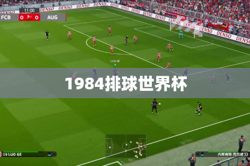 1984排球世界杯 1984排球世界杯