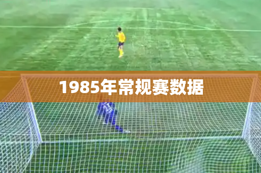 1985年常规赛数据