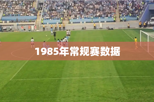 1985年常规赛数据