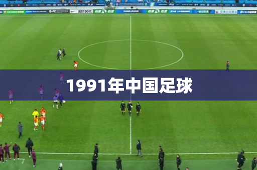1991年中国足球 1991年中国足球