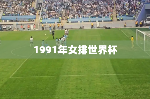 1991年女排世界杯 1991年女排世界杯