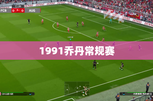 1991乔丹常规赛 1991乔丹常规赛