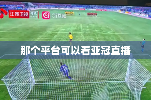 那个平台可以看亚冠直播