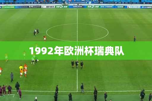 1992年欧洲杯瑞典队 1992年欧洲杯瑞典队