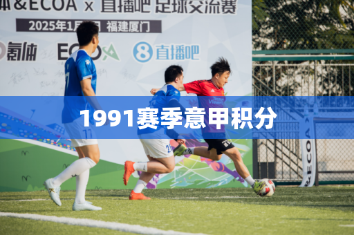 1991赛季意甲积分