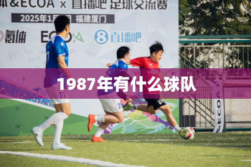 1987年有什么球队