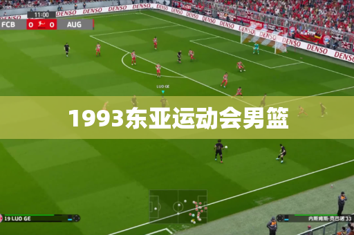 1993东亚运动会男篮 1993东亚运动会男篮