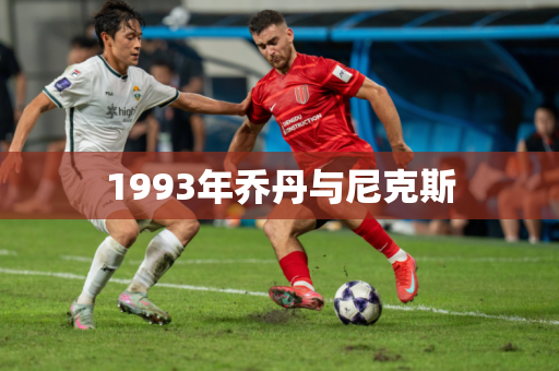 1993年乔丹与尼克斯