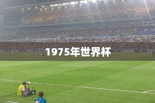 1975年世界杯